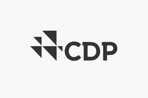 CDP 2026 questionnaire