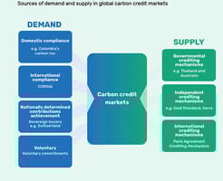 convergence marches carbone volontaire et reglementaire