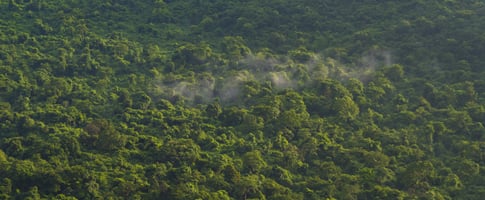 decarbonization